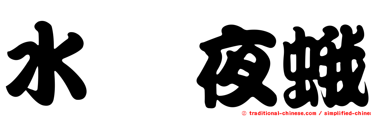 水斳夜蛾