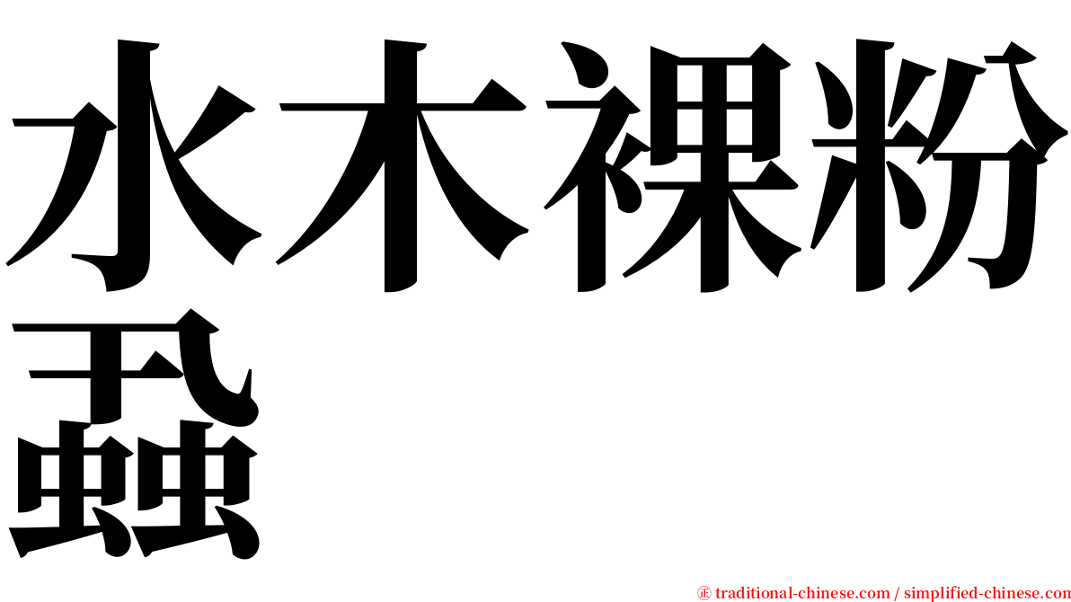 水木裸粉蝨 serif font