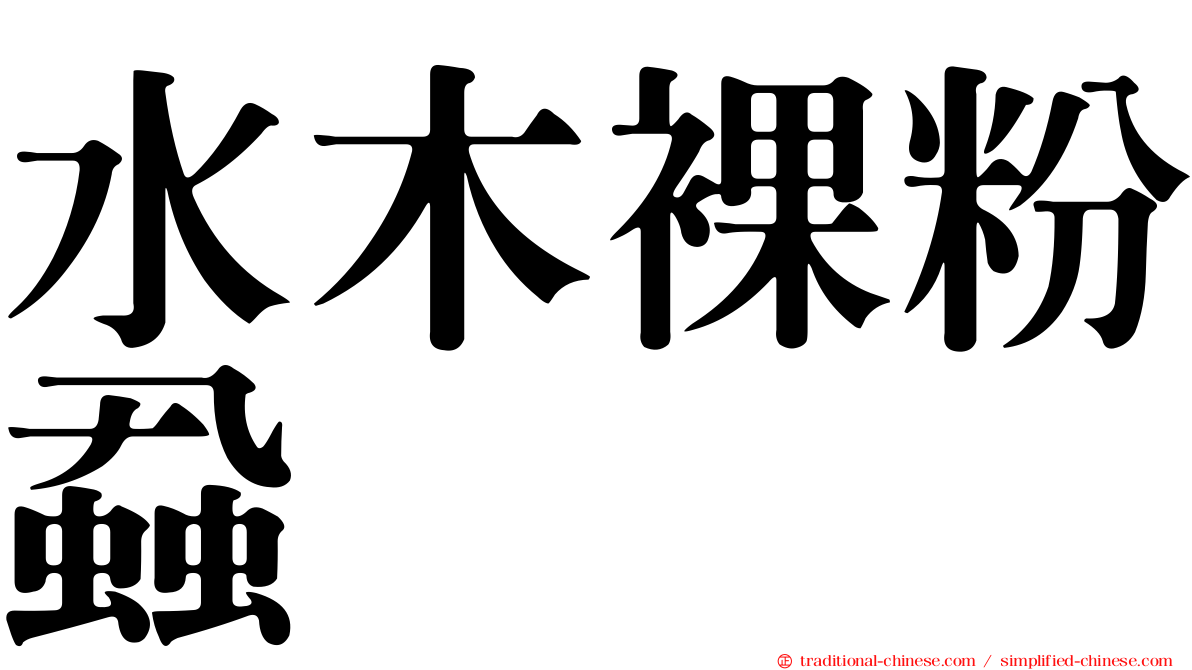 水木裸粉蝨