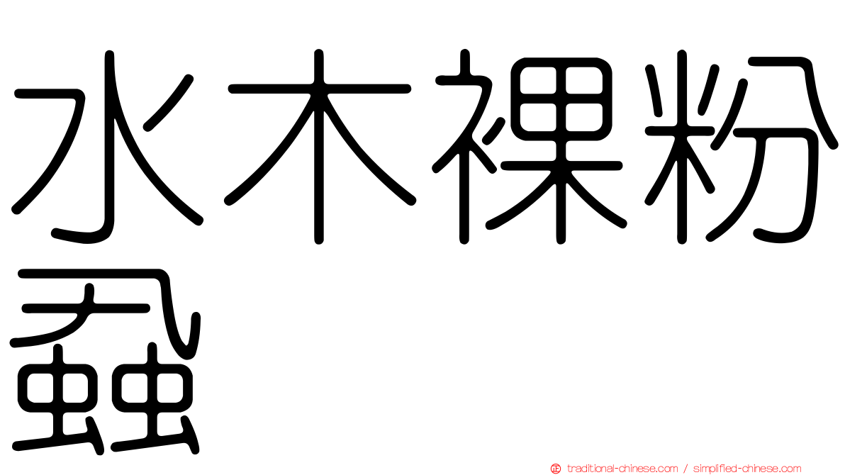 水木裸粉蝨