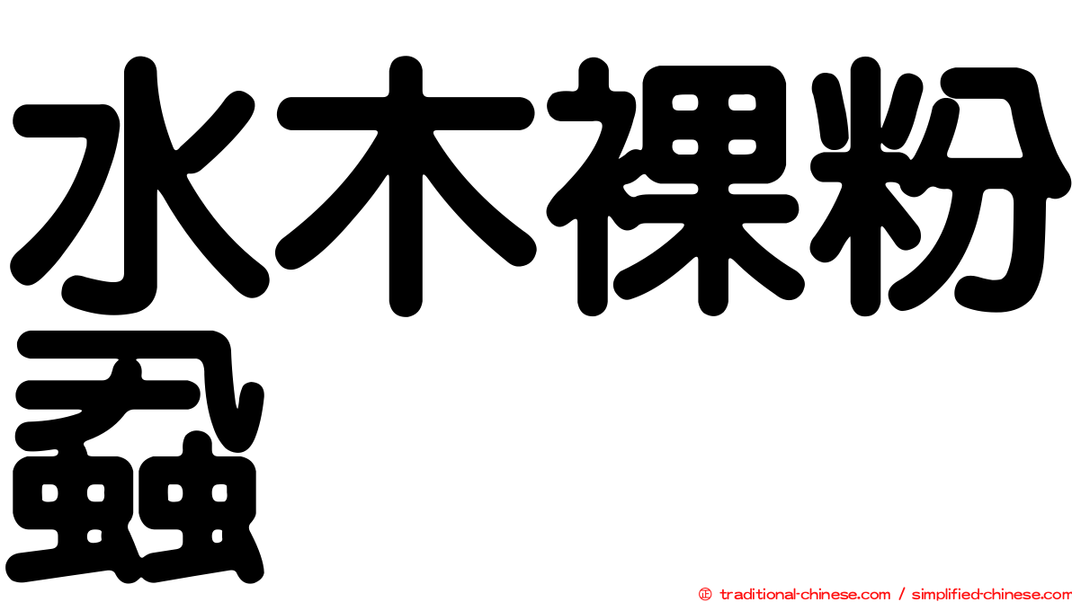 水木裸粉蝨