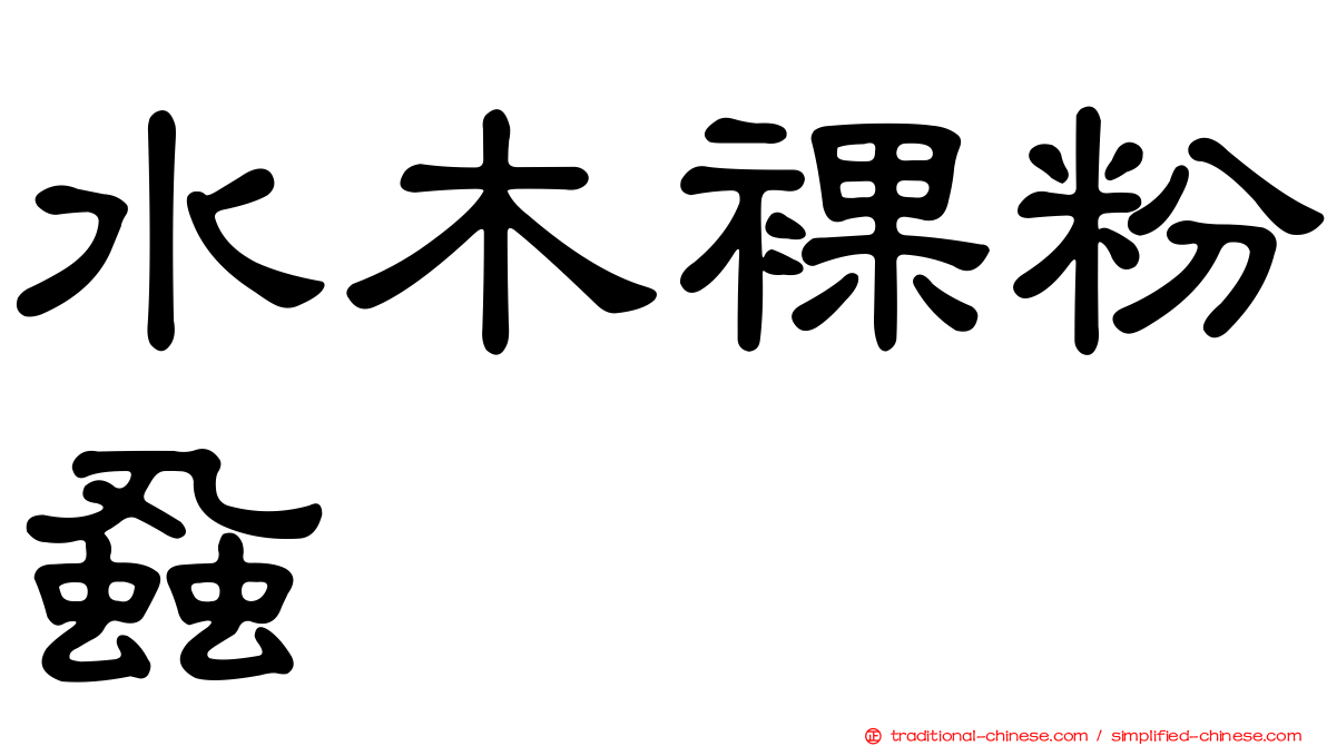水木裸粉蝨