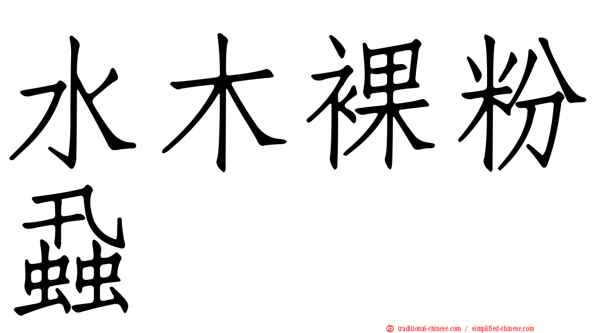 水木裸粉蝨