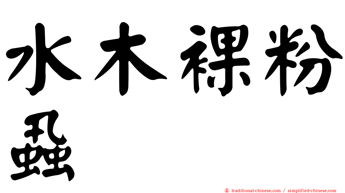 水木裸粉蝨