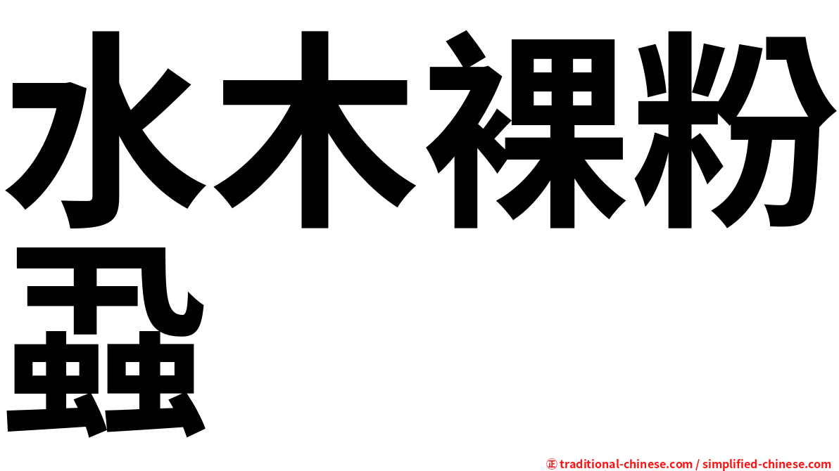 水木裸粉蝨