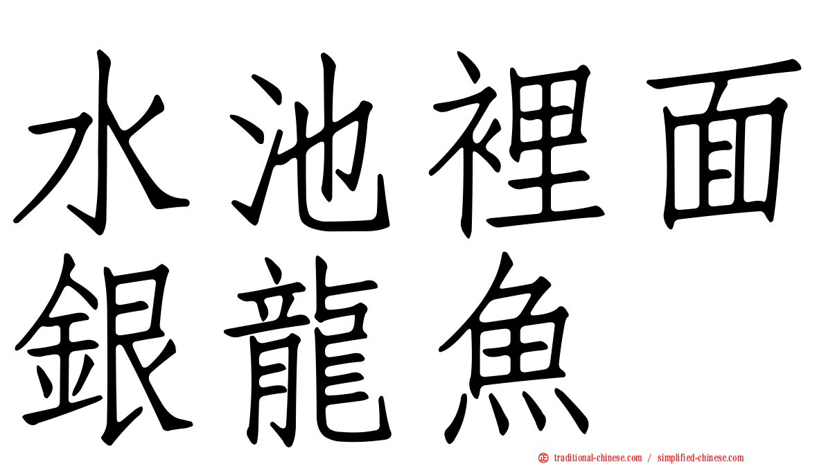 水池裡面銀龍魚