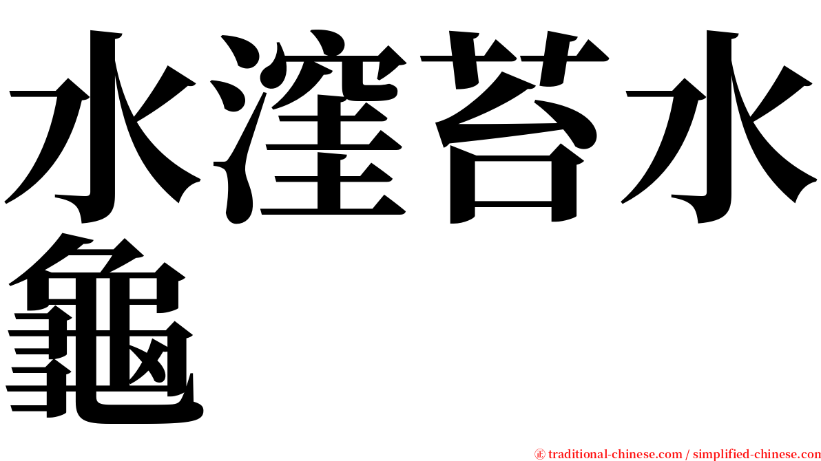 水漥苔水龜 serif font