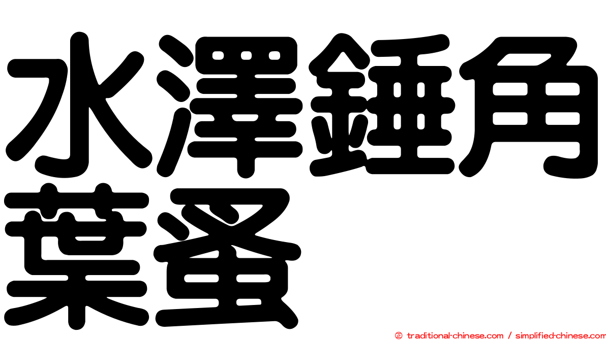 水澤錘角葉蚤