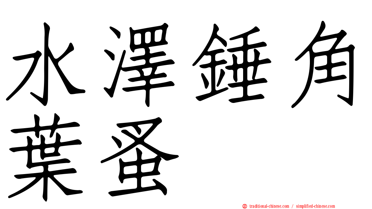 水澤錘角葉蚤