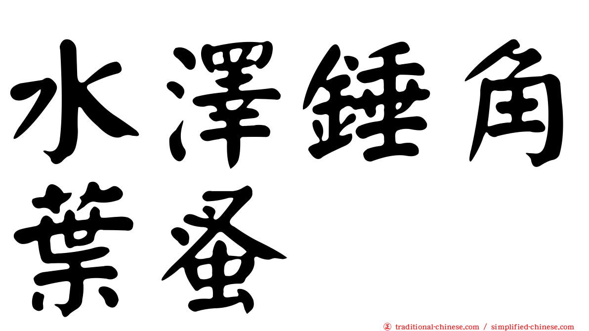 水澤錘角葉蚤