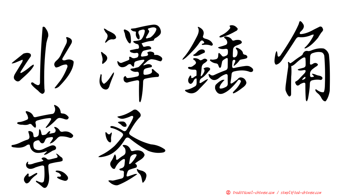水澤錘角葉蚤