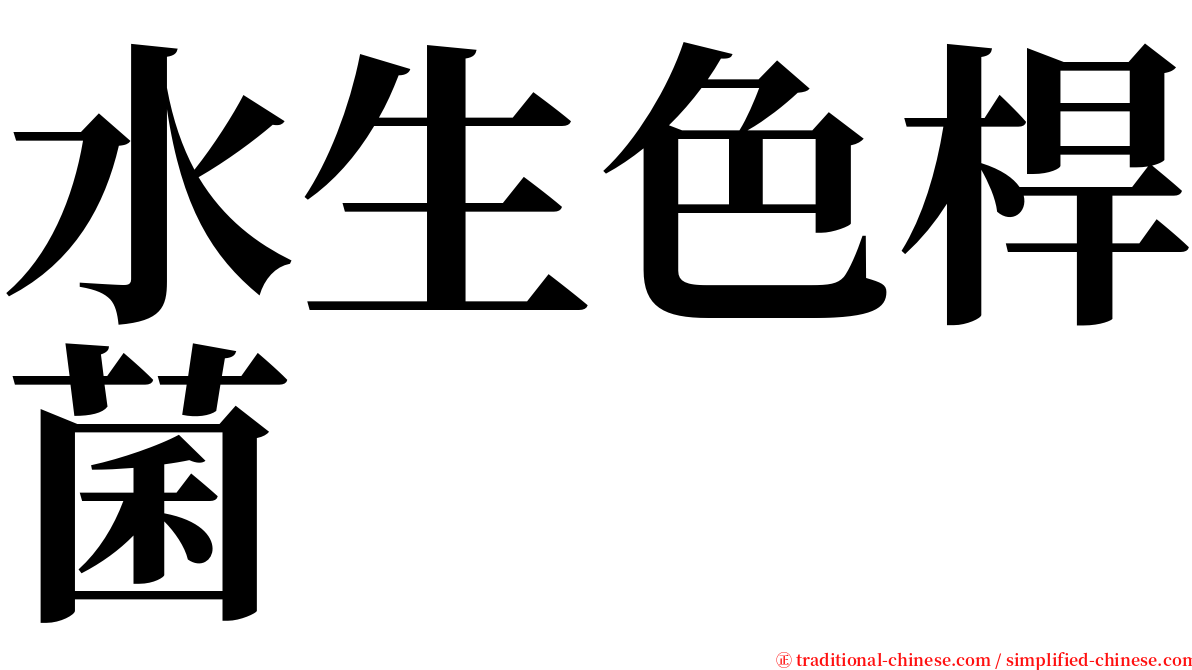 水生色桿菌 serif font