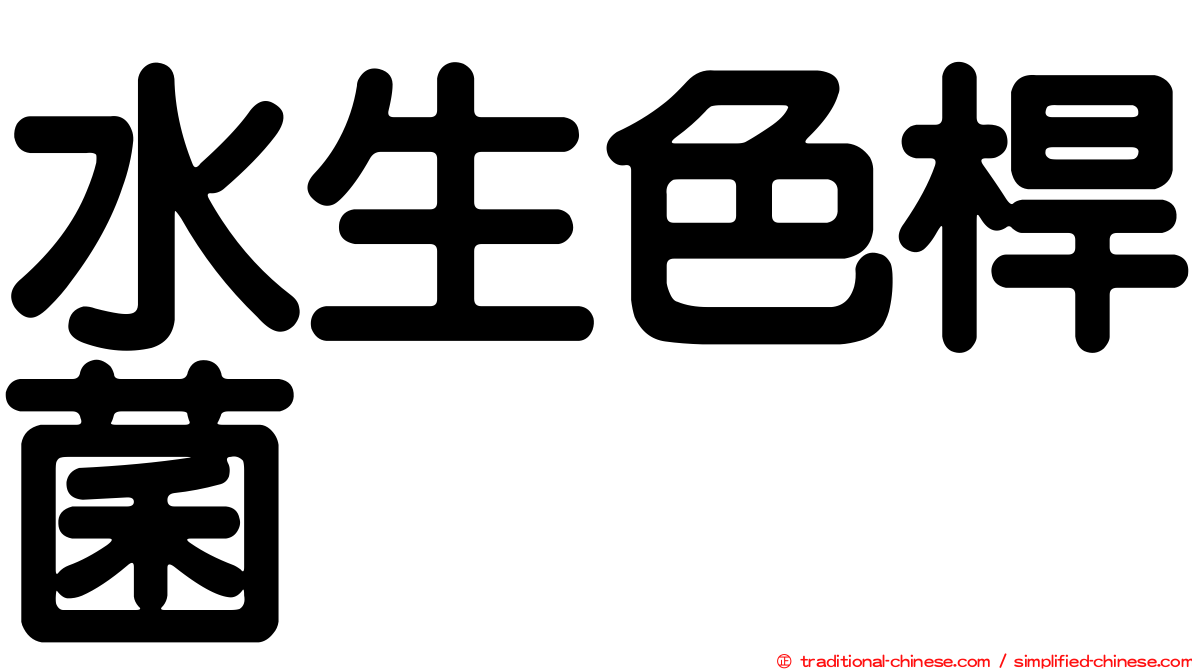 水生色桿菌