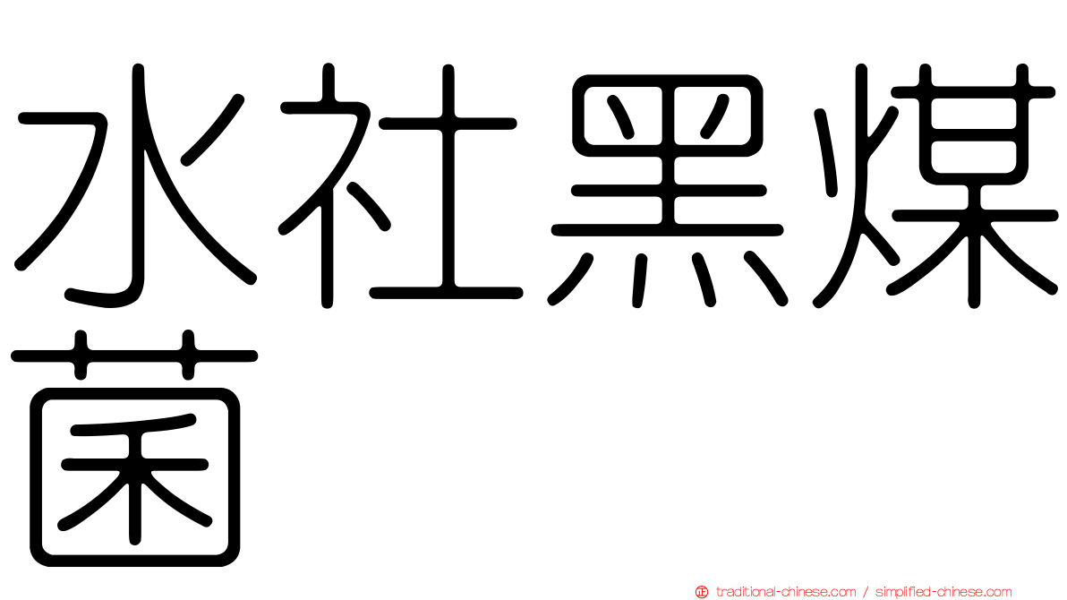 水社黑煤菌