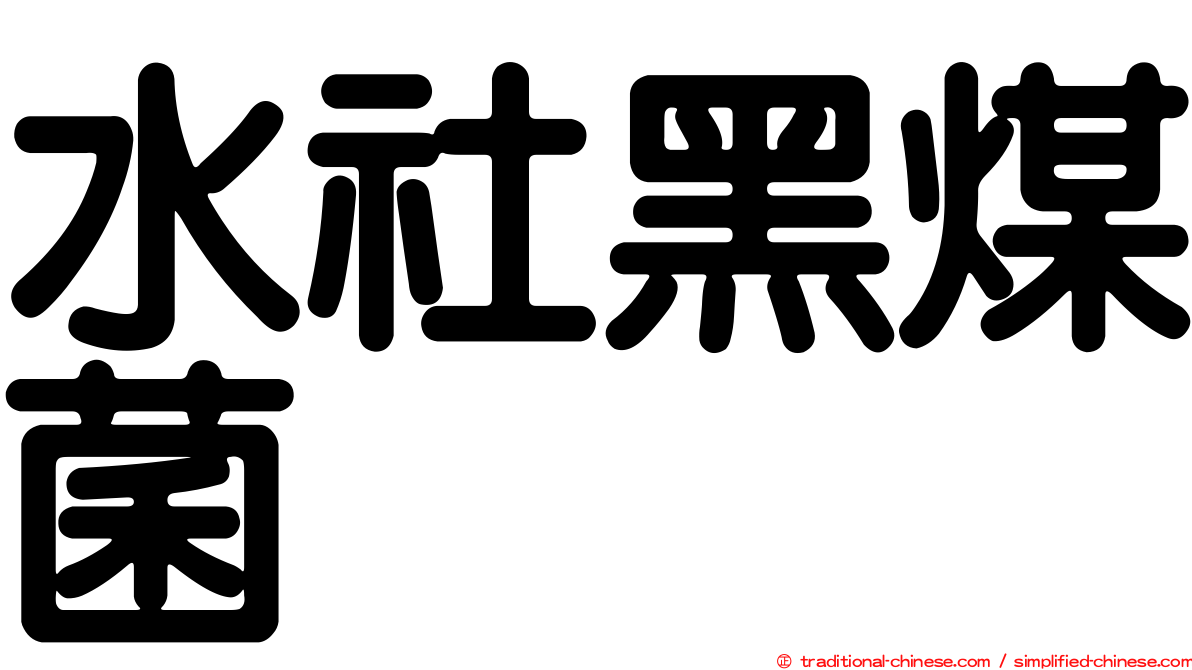 水社黑煤菌