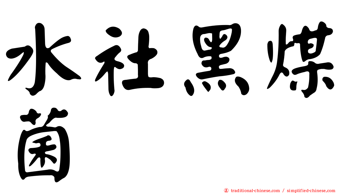 水社黑煤菌