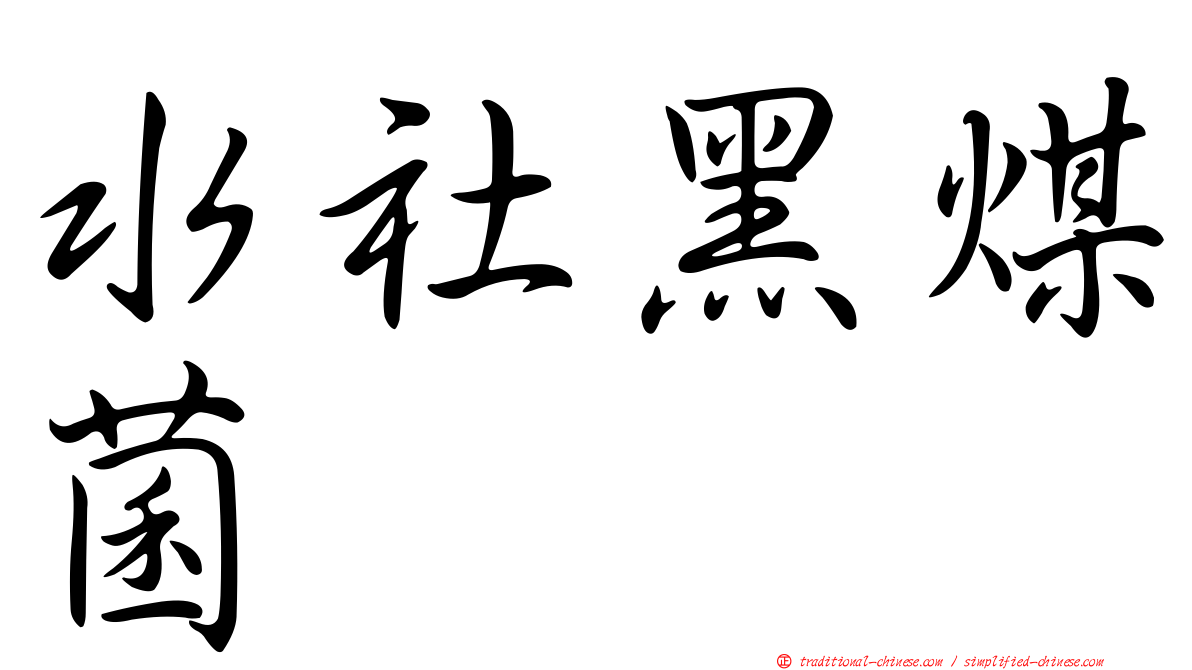 水社黑煤菌