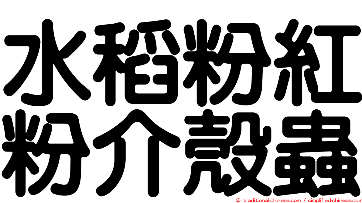 水稻粉紅粉介殼蟲