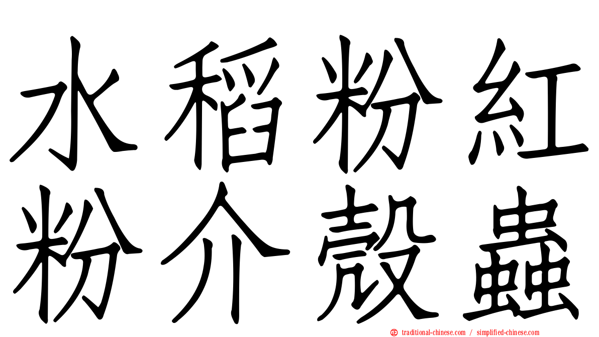 水稻粉紅粉介殼蟲