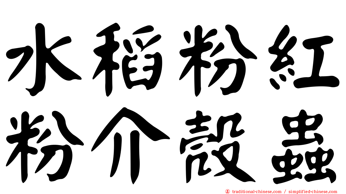 水稻粉紅粉介殼蟲