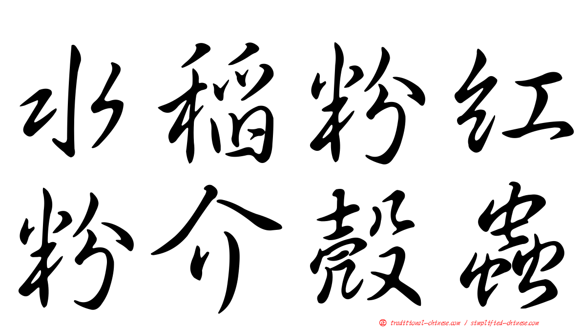 水稻粉紅粉介殼蟲