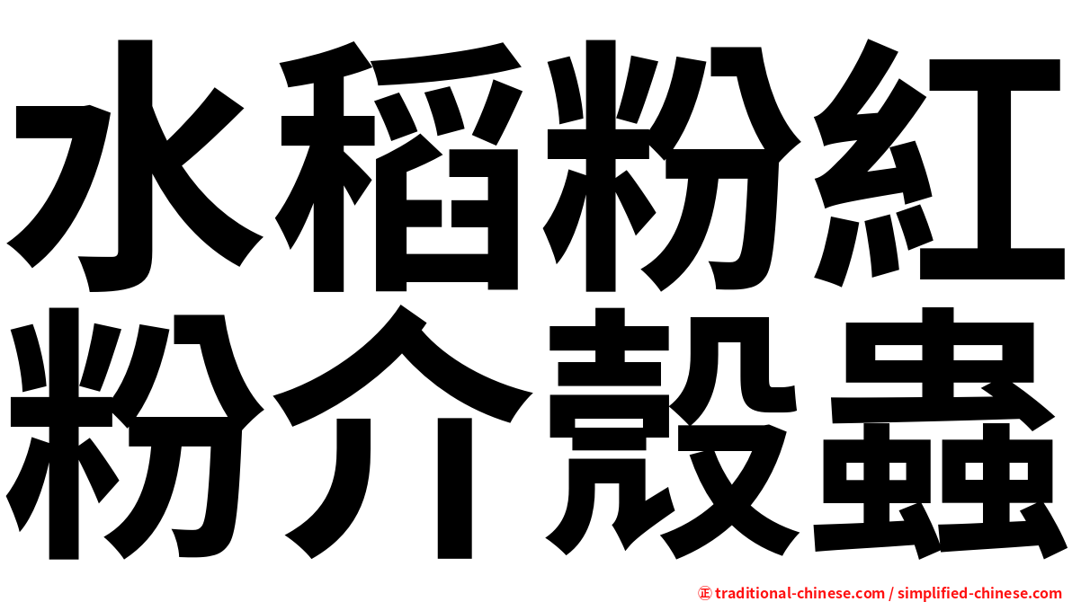 水稻粉紅粉介殼蟲