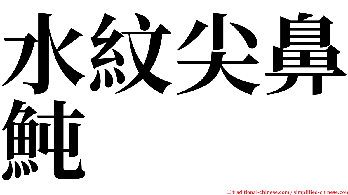 水紋尖鼻魨 serif font