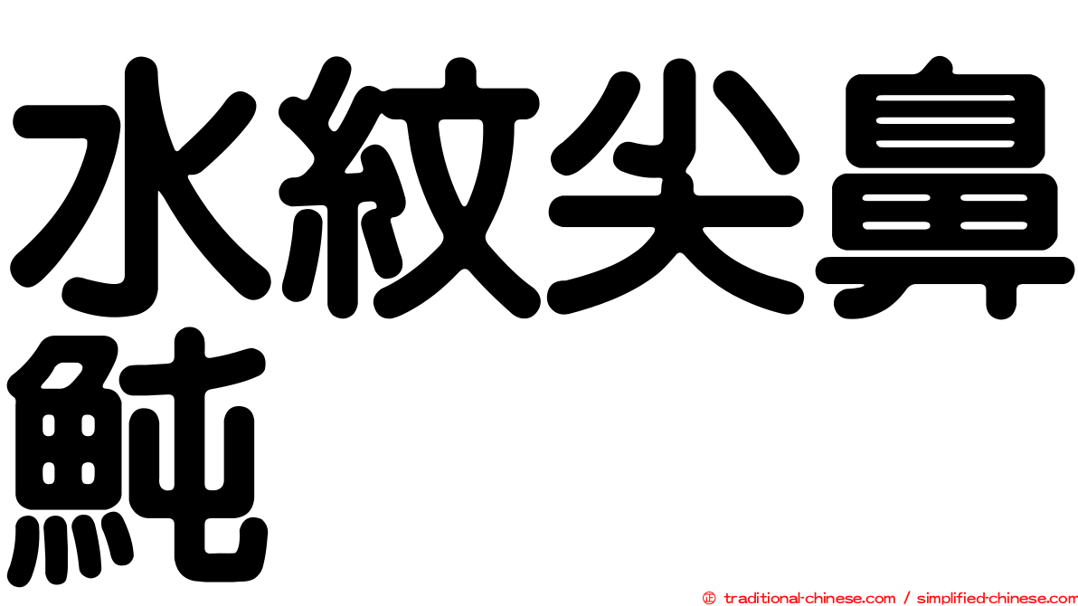 水紋尖鼻魨