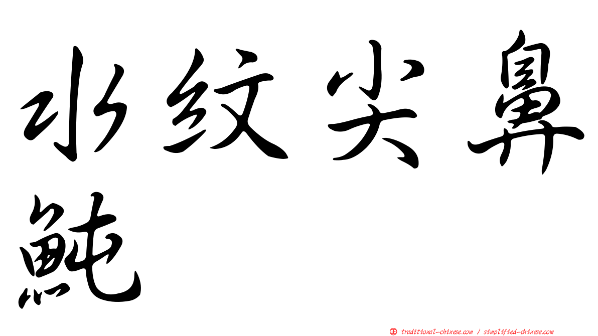 水紋尖鼻魨