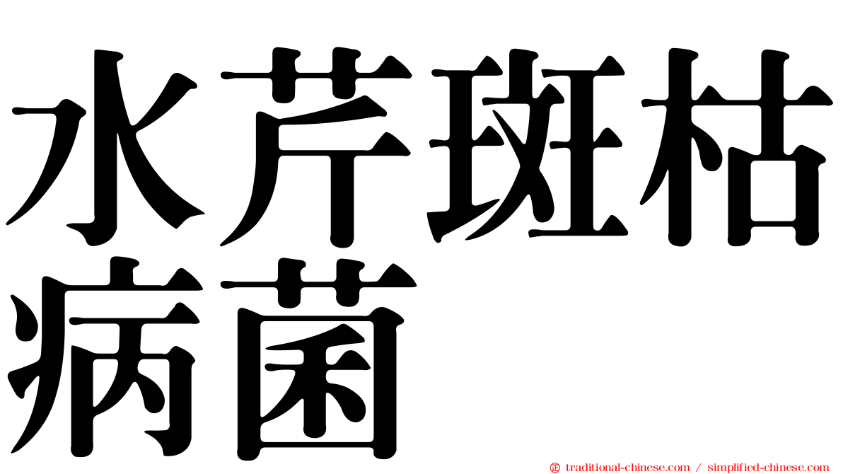 水芹斑枯病菌