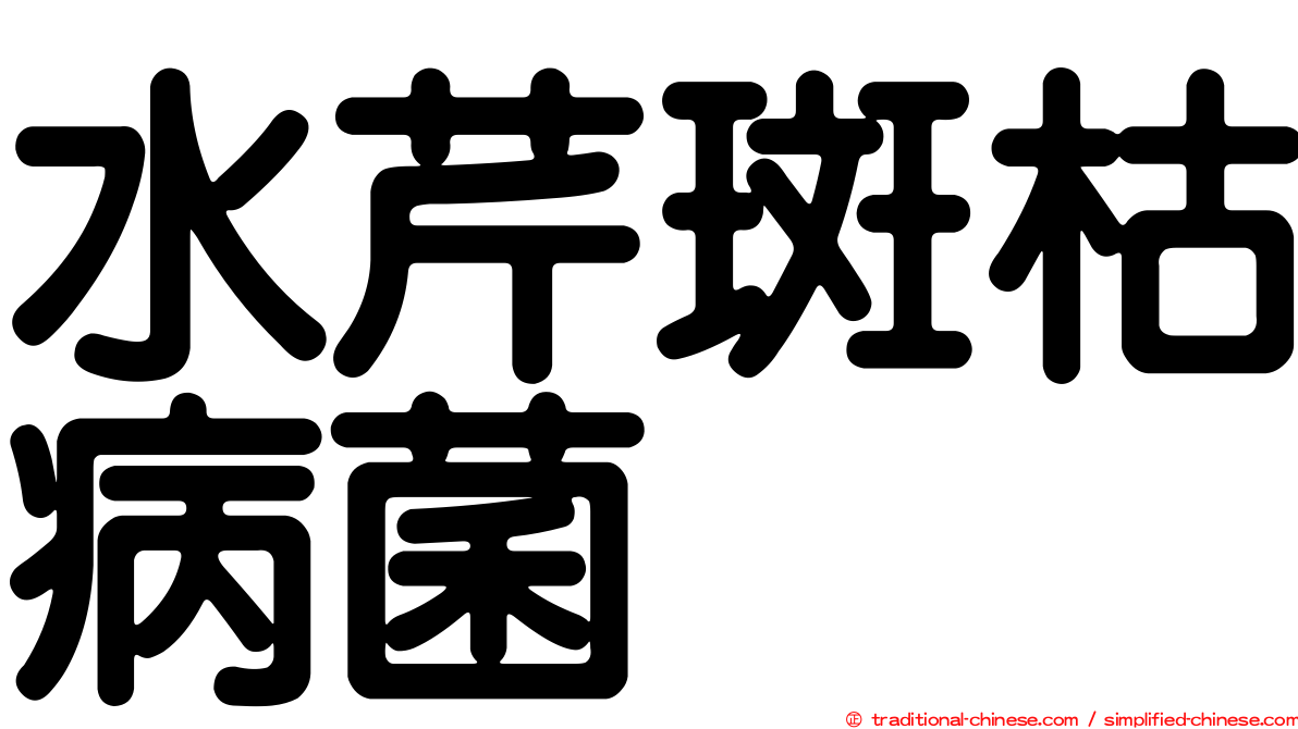 水芹斑枯病菌