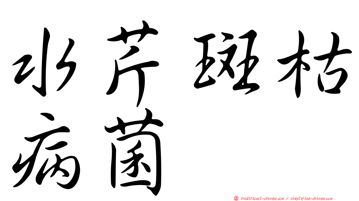 水芹斑枯病菌