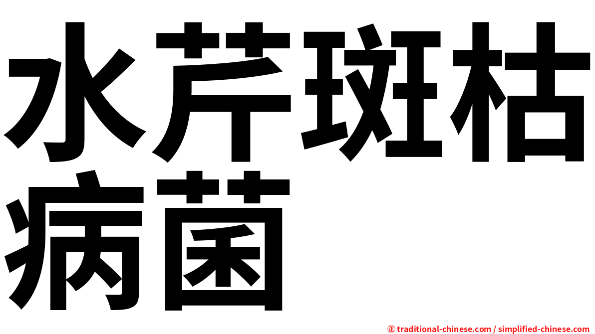 水芹斑枯病菌