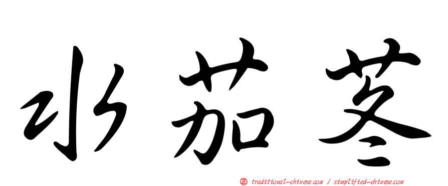 水茄苳