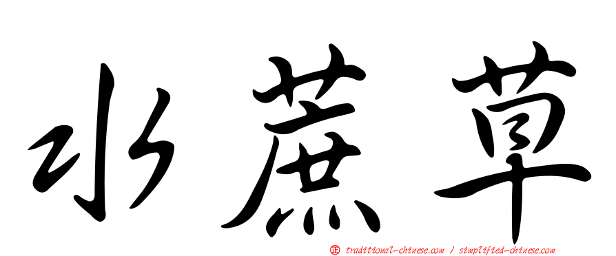 水蔗草