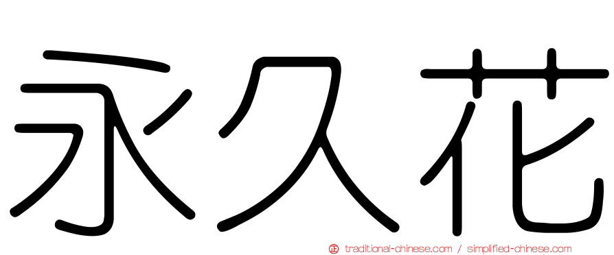 永久花