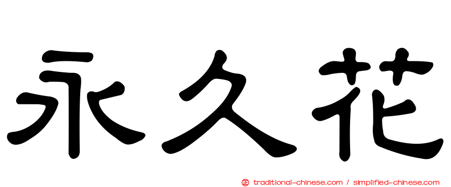 永久花