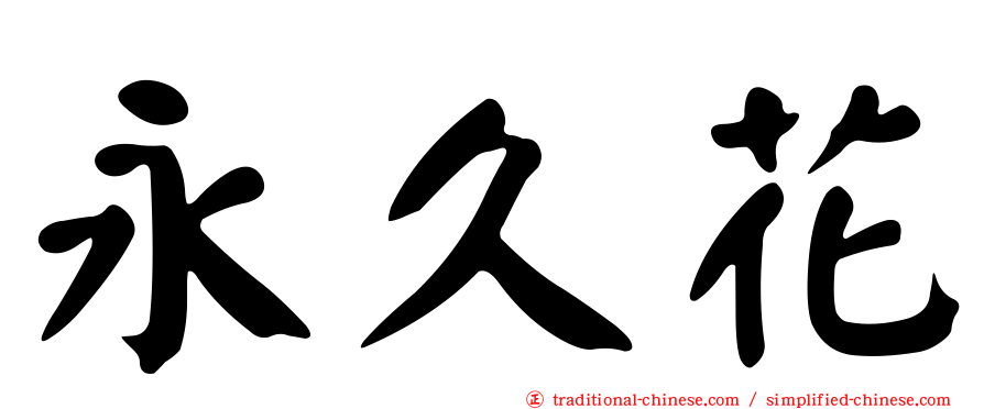 永久花