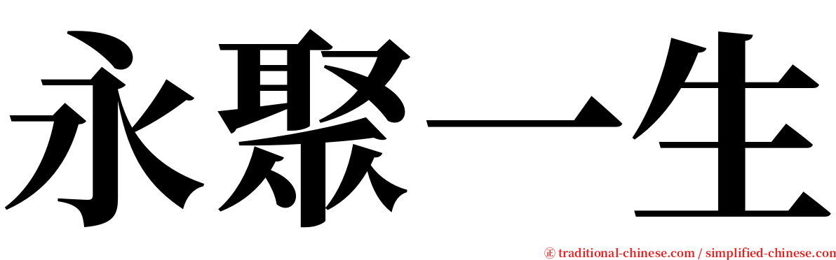 永聚一生 serif font
