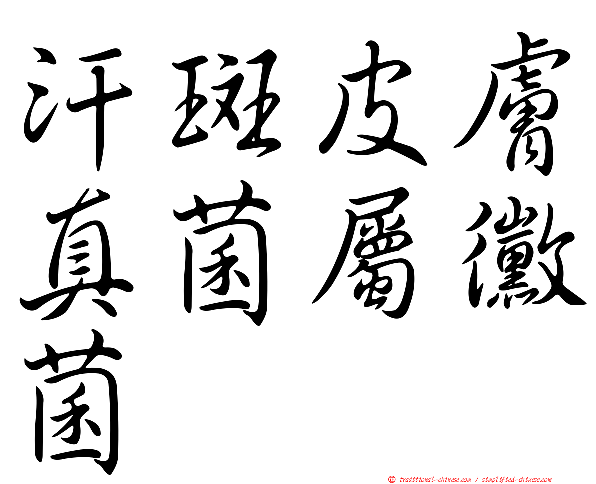 汗斑皮膚真菌屬黴菌