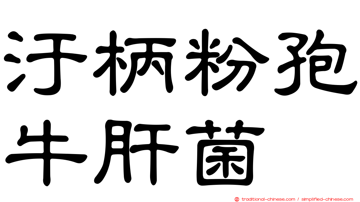 汙柄粉孢牛肝菌