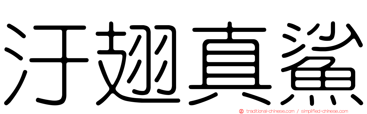 汙翅真鯊