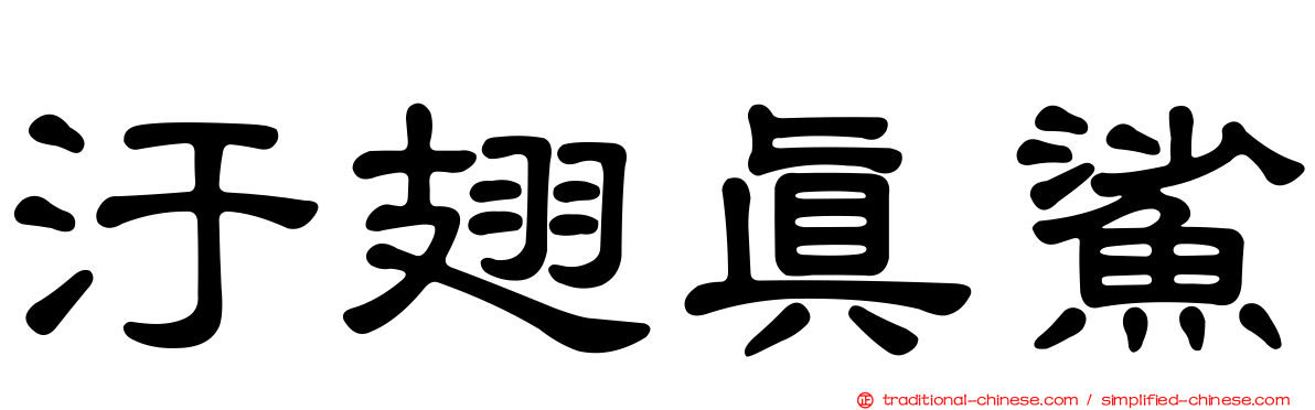 汙翅真鯊