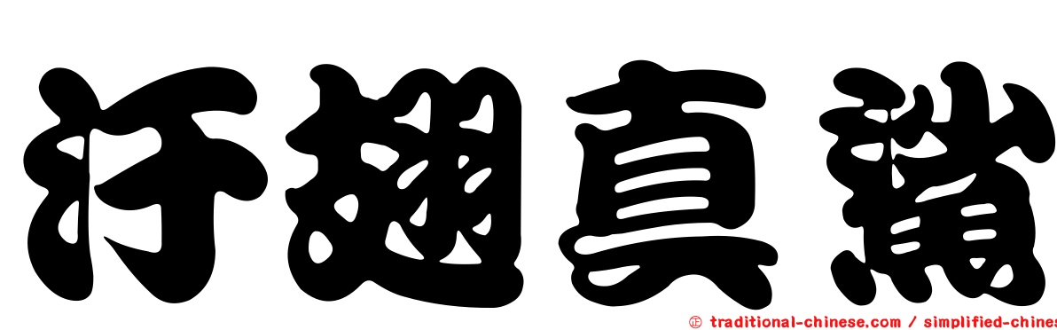 汙翅真鯊