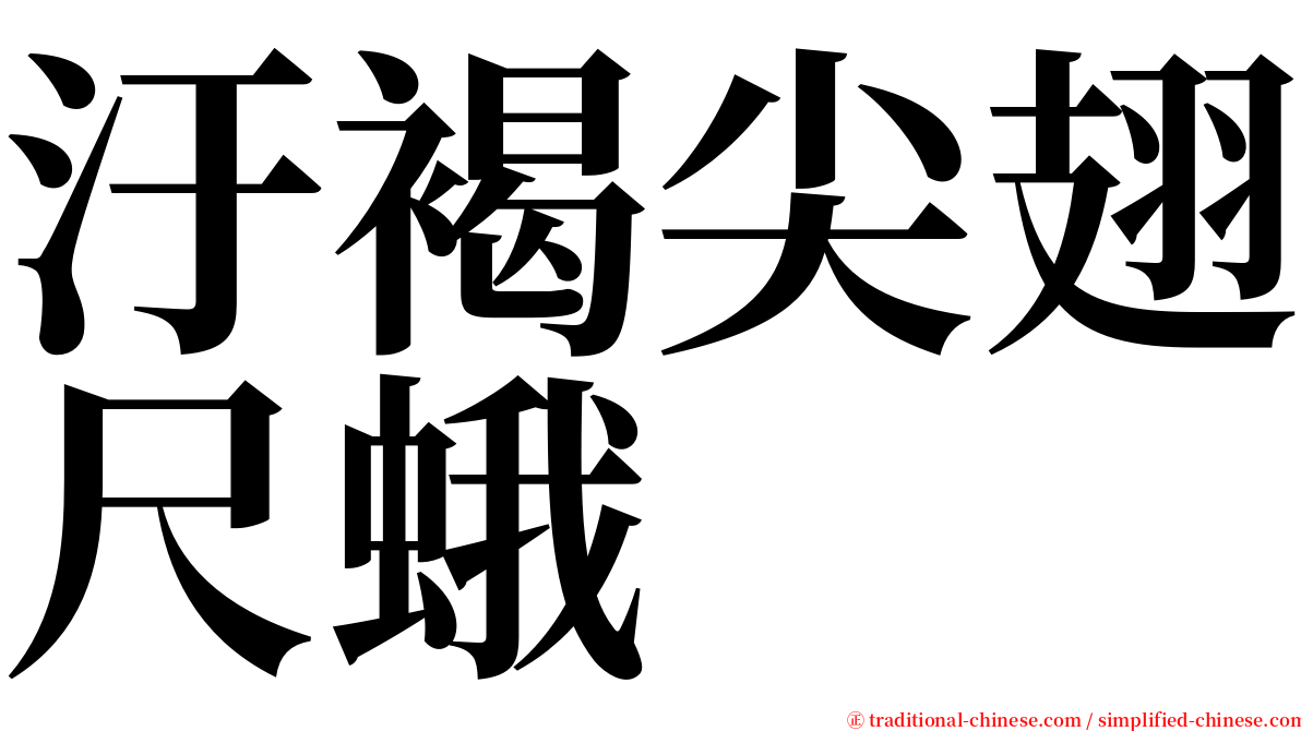汙褐尖翅尺蛾 serif font