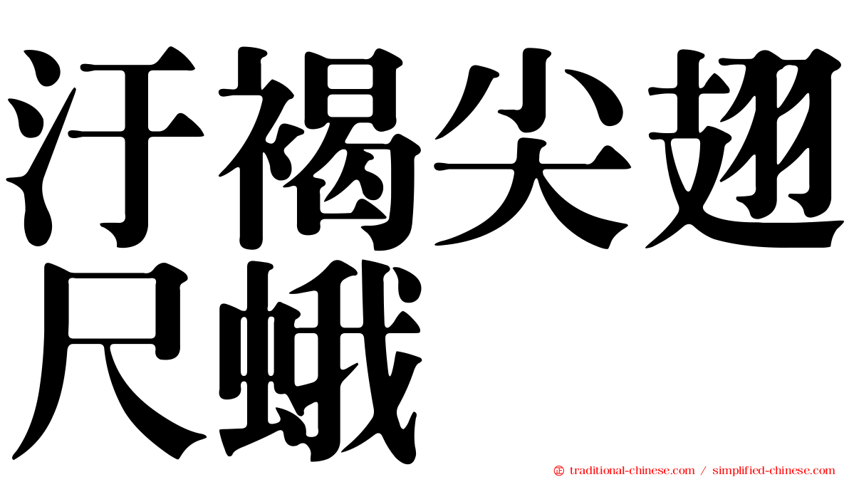 汙褐尖翅尺蛾