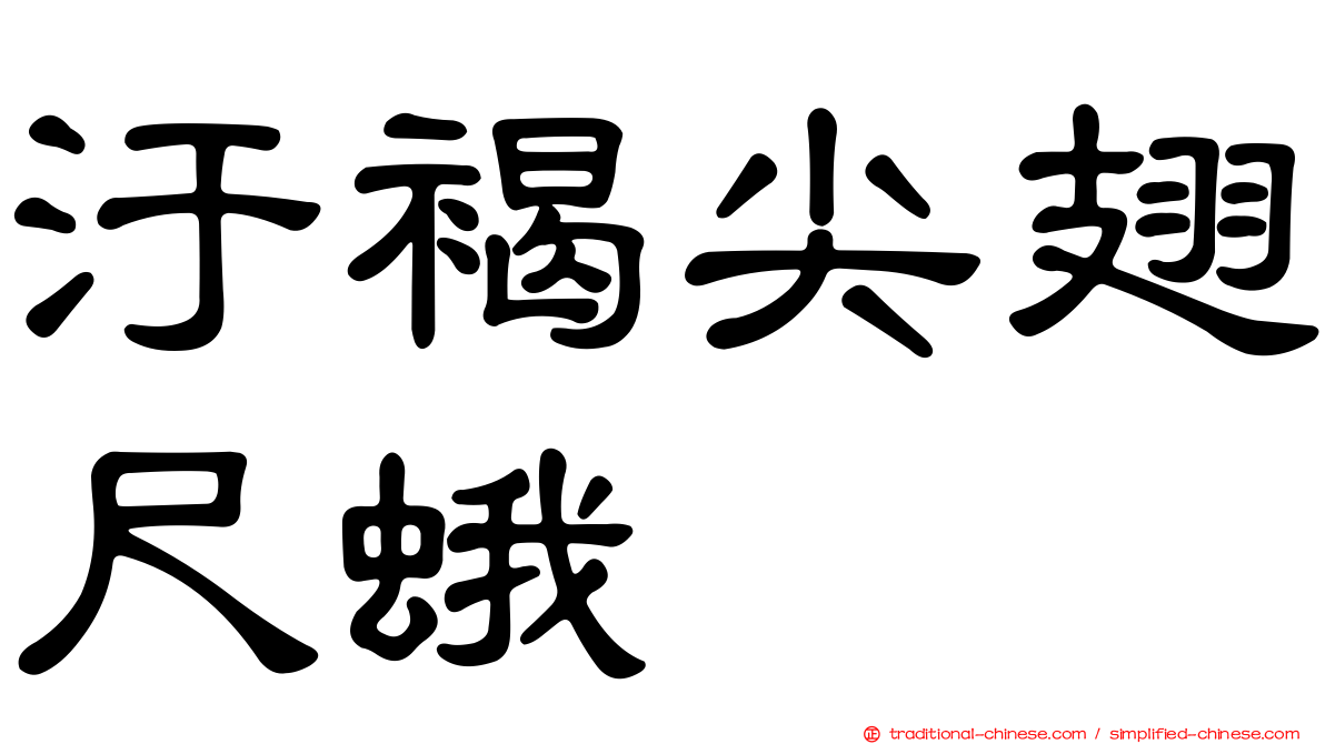 汙褐尖翅尺蛾