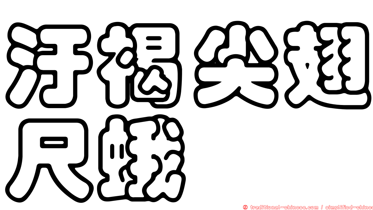 汙褐尖翅尺蛾