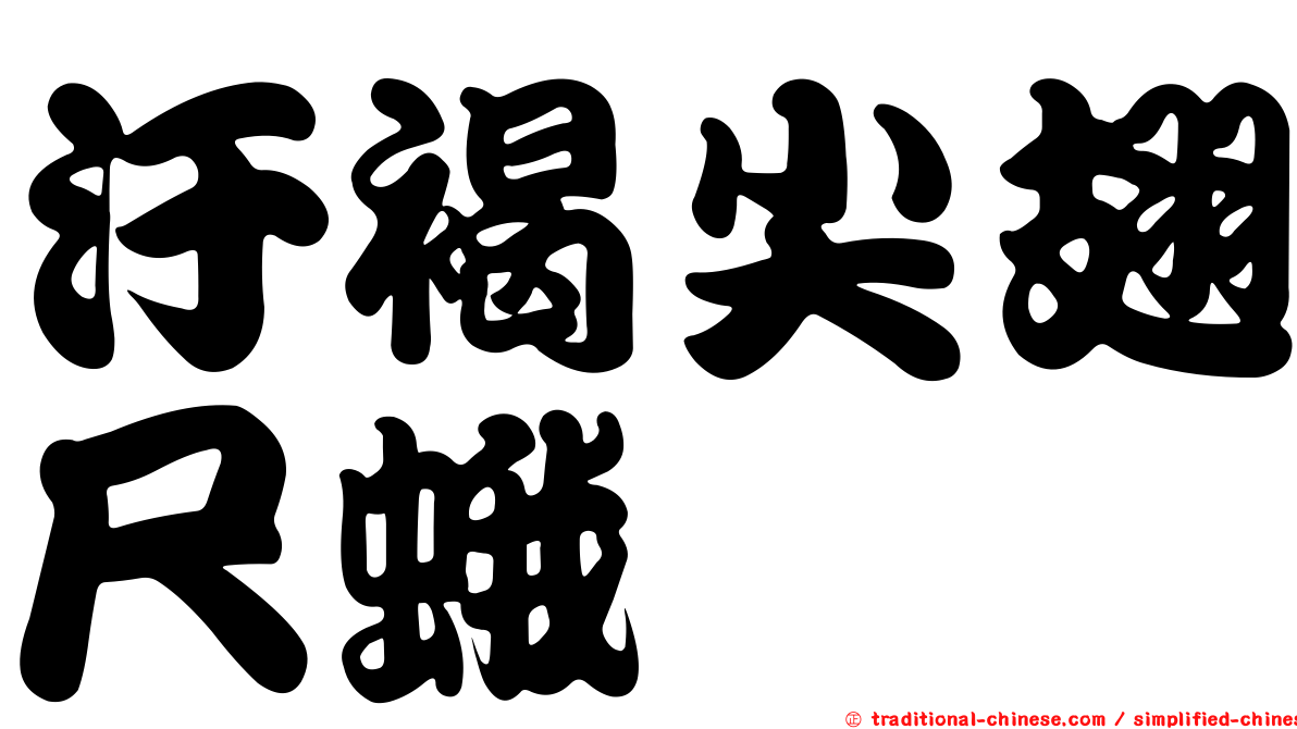 汙褐尖翅尺蛾