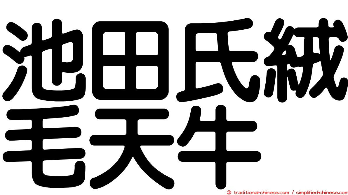 池田氏絨毛天牛